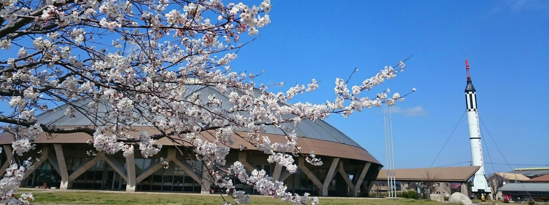 コスモアイル羽咋と桜